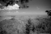 Grand Canyon North Rim, Arizona - United States of America